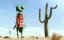  (   ) / Rango - 