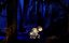   / Die Drei Rauber - 