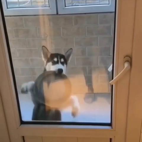 ������