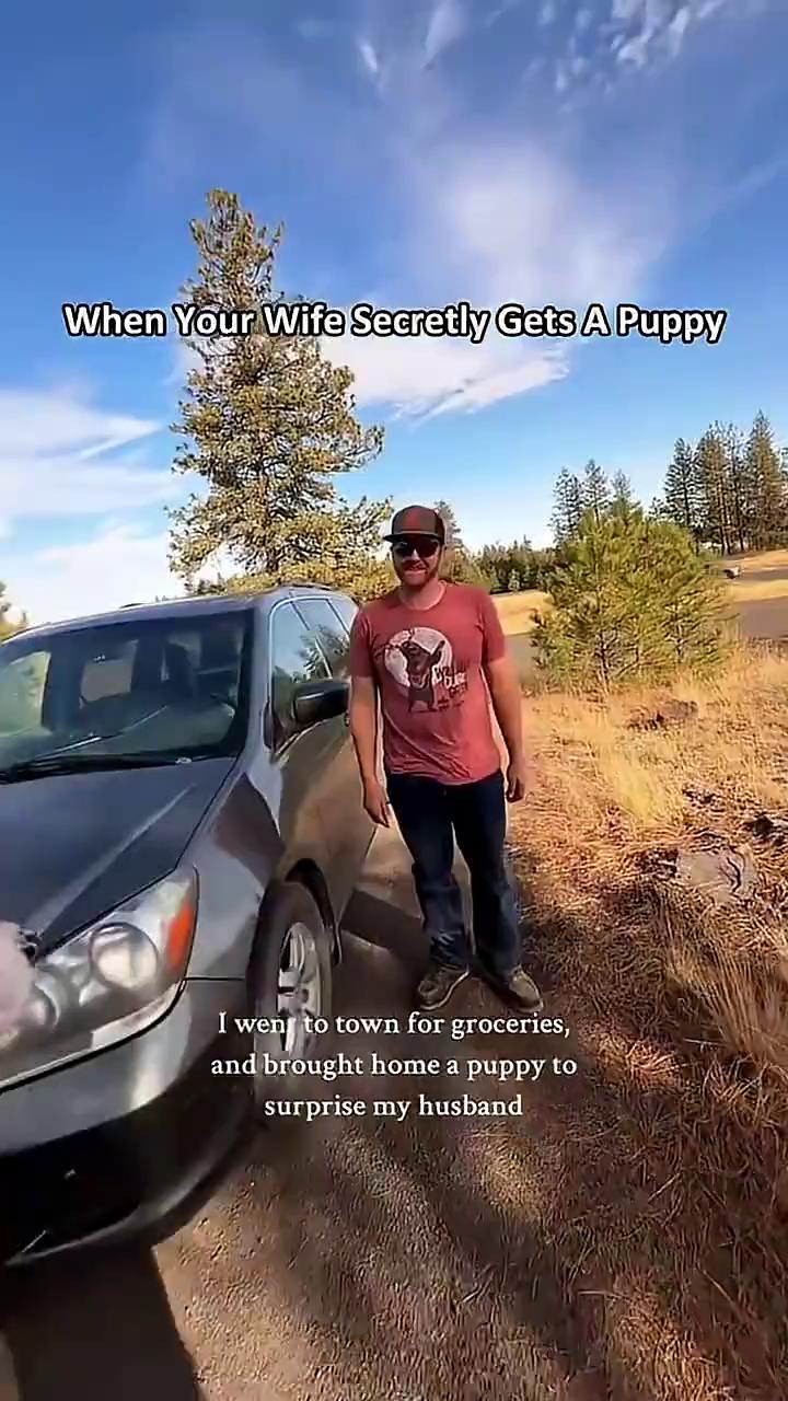 ������