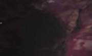 ������������� ������ ������ / U.V.F: Underground Video Films - �����
