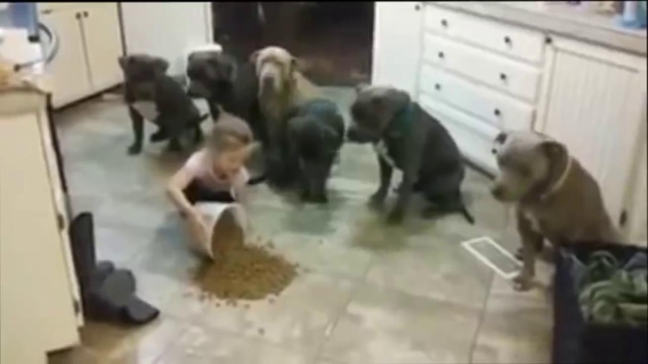 ������