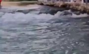 ���� ����� ������ ....