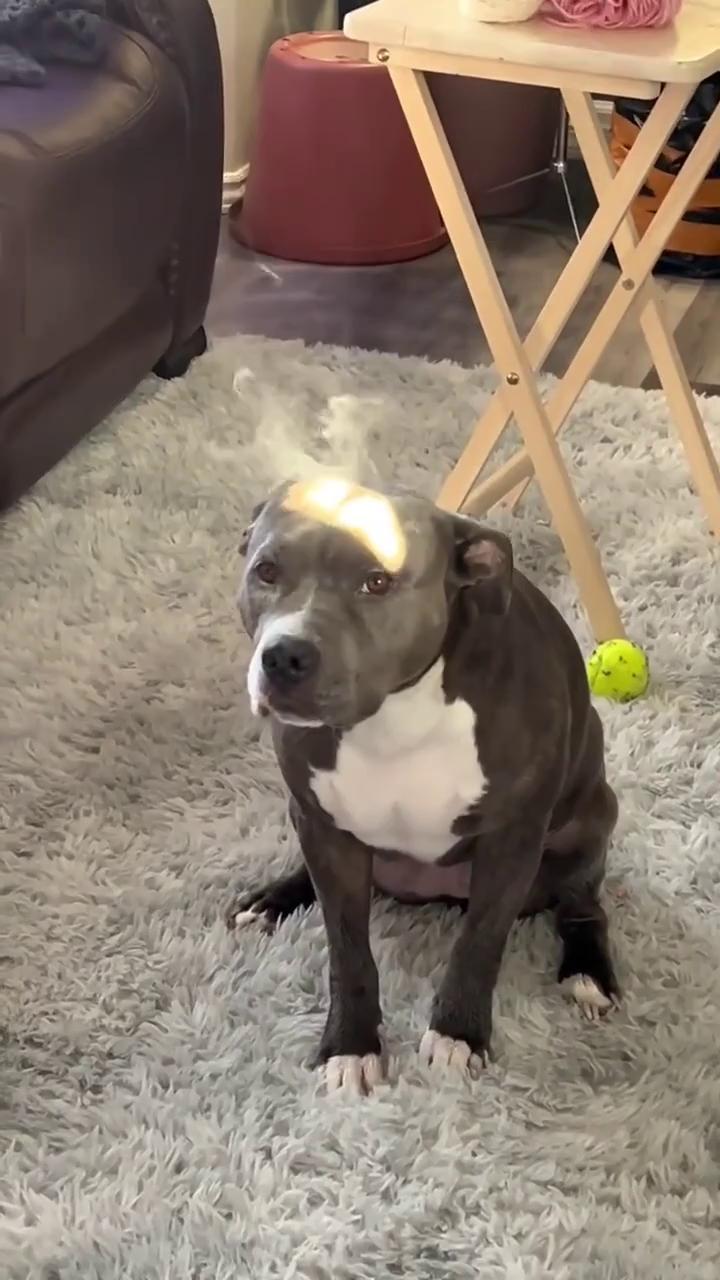������