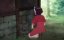 ���� � � ��������� �������� / Futsutsuka na Akujo dewa Gozaimasu ga: Suuguu Chouso Torikae Den - 1 �����, 3 �����