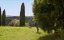   / Made in Italy - 