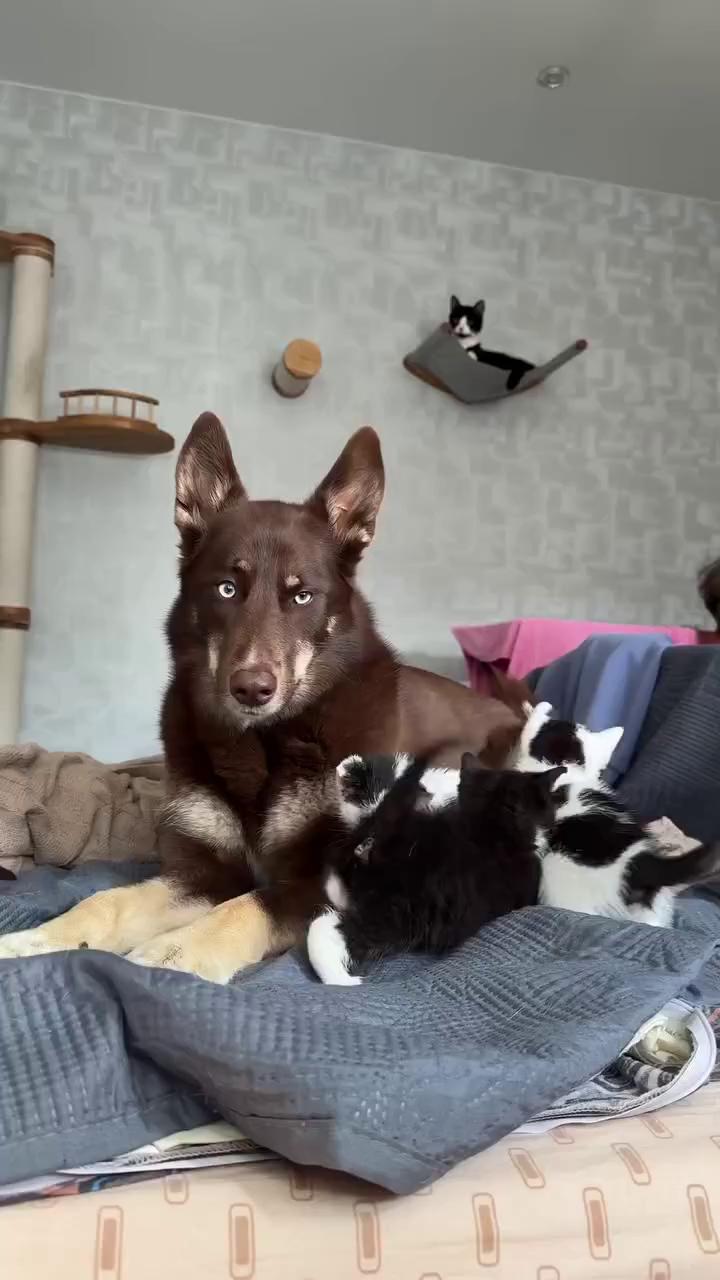 ������