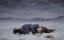 ����������� / Snowball Earth - 1 �����, 5 �����