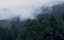    / Wild Canary Islands / Wilde Kanaren - 