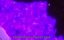  ,    / Shi Ye Mo Wang - 1 , 26 