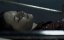   / Spiderhole - 