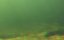   / Dragons Feast - 
