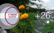      17.06.2025