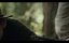 � ������� �� ����� / East of Eden - 1 �����, 1 �����