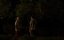     / Regretfully at Dawn - 