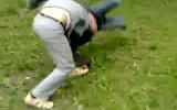 �����-��������� ������� �������