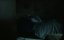    / The Curse of Raven Heights - 