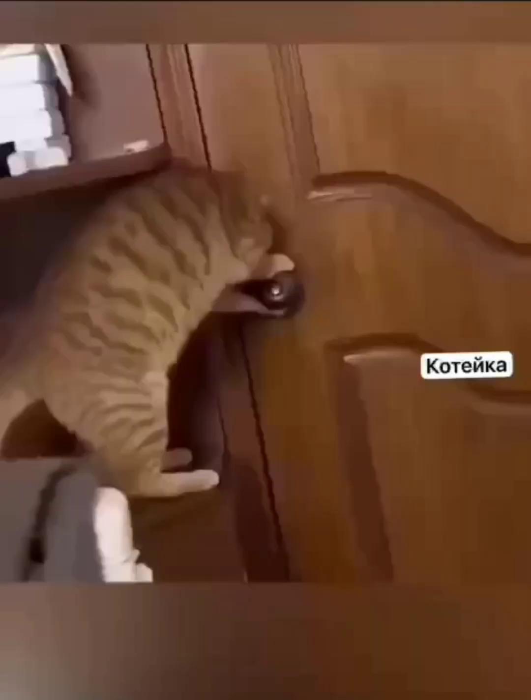 ������