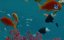     .  / Treasures With Bettany Hughes. Arabia - 