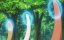 ��� � ������ / Neko to Ryuu - 1 �����, 1 �����