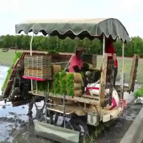 ������