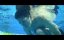 ,      / Ke zai ni xin di de ming zi / The Name Engraved in Your Heart - 