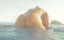 2013-12-21 - Ariel & Miela - Pool Fun