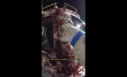 �������� (�� ������) - 27 ����� "����� �������� �21"