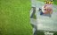 ������� ����� / Puppy Dog Pals - 3 �����, 5 ����� "����� � ������"