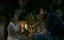  / Saindhav - 