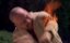    / Breaking Bad - 3 , 1  "!"