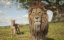:   / Mufasa: The Lion King - 