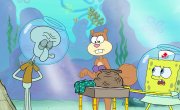 ����� ��� ���������� ����� / SpongeBob SquarePants - 16 �����, 12 �����