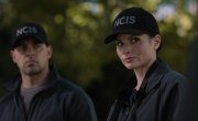 ������� �������.��������� / NCIS - 23 �����, 8 �����