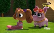������� ����� / Puppy Dog Pals - 5 �����, 12 ����� "��������� ��� �����"