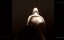  / The Task - 