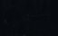    / Adam the First - 