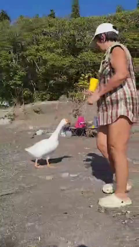 ������