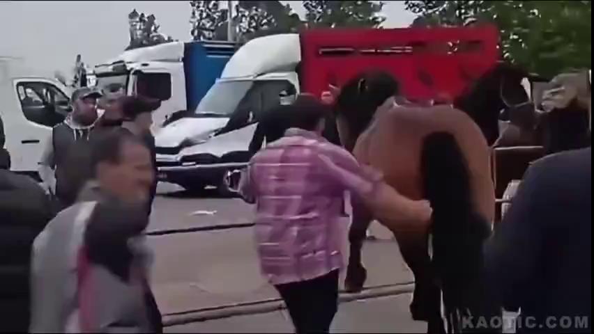 ������