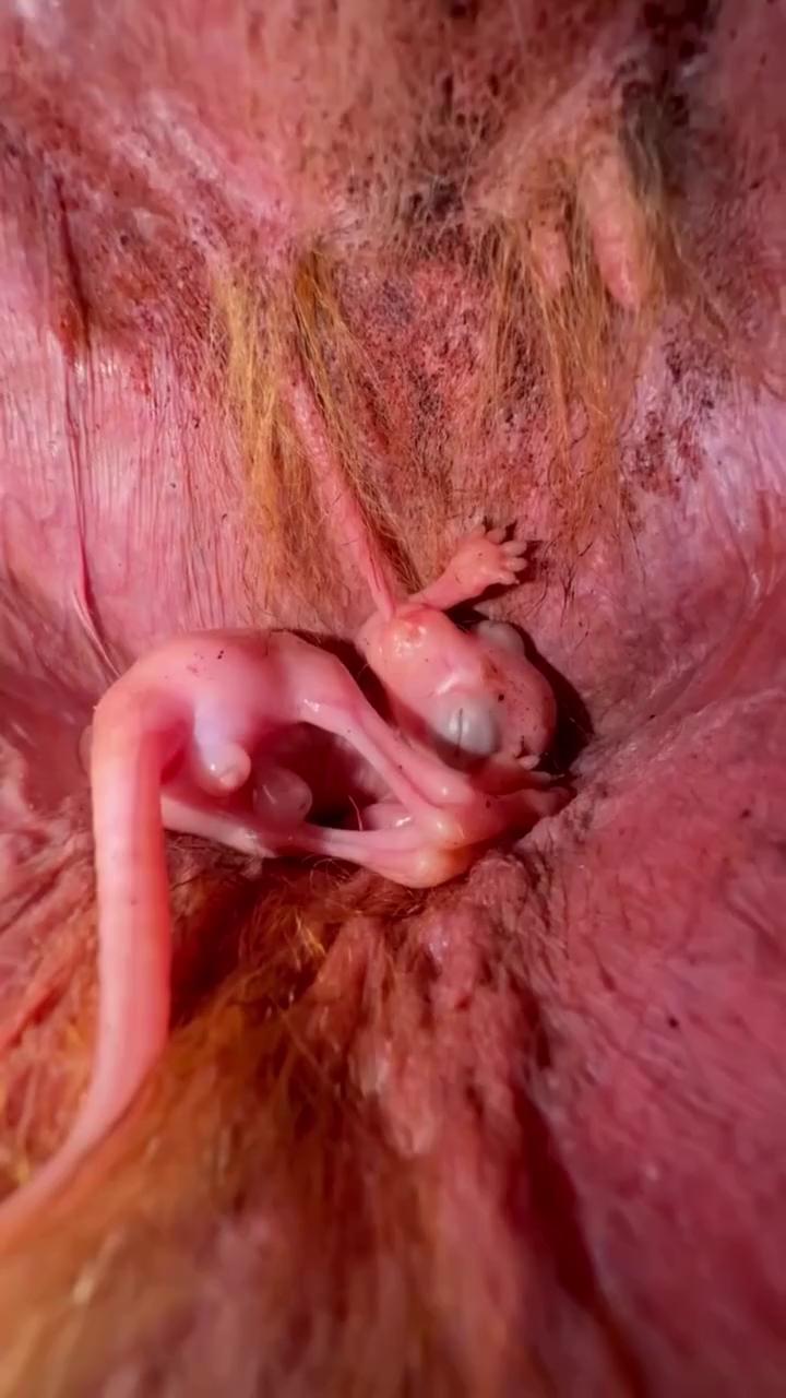 ������