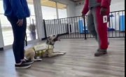 ��������� ��������