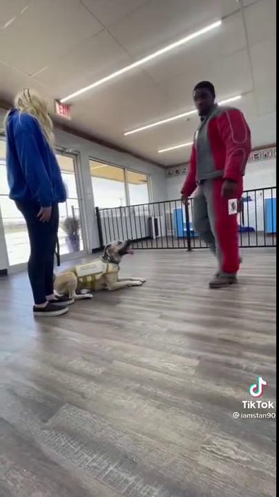������