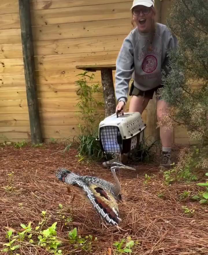 ������