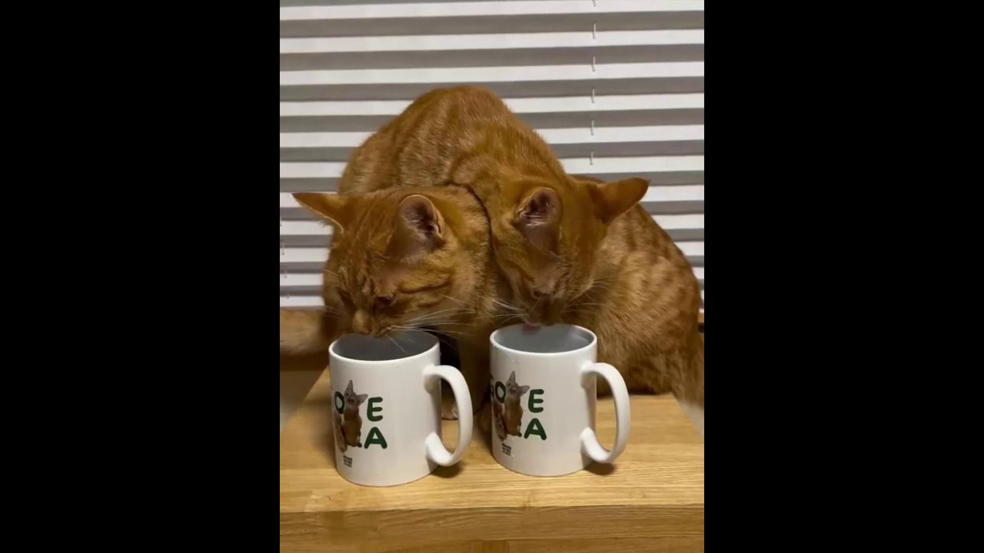 ������