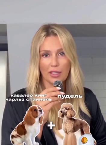 ������