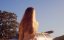    / Downrange - 