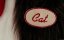  / The Cat in the Hat - 