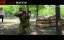 :   / Zhi yuan jun: xiong bing chu ji / The Volunteers: To the War / The Great War - 