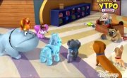 ������� ����� / Puppy Dog Pals - 3 �����, 6 ����� "�������� ������"