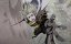 ��������� ����������������� ������ ������ �� ����� ���� ������ � ������� ���� / Tsuihou sareta Tensei Juukishi wa Game Chishiki de Musou suru - 1 �����, 7 �����